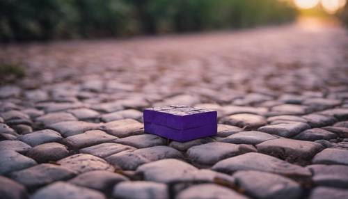 一塊孤獨的紫色磚塊被遺棄在鵝卵石小路上。