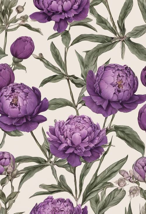 A vintage botanical illustration of purple peonies.