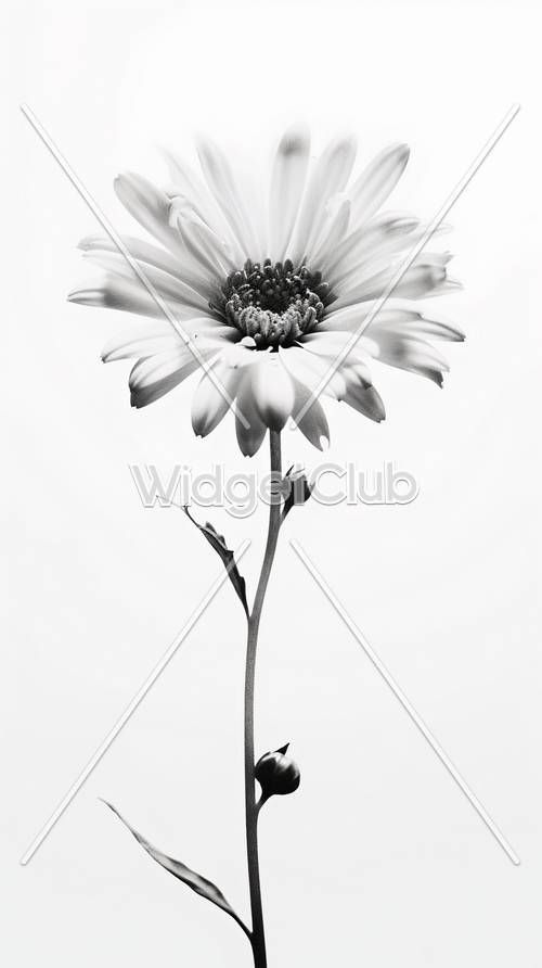 Siyah Beyaz Zarif Çiçek