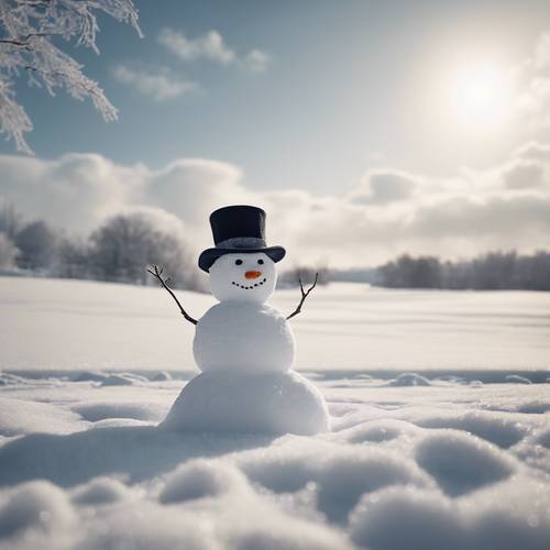 Silindir şapka takan yalnız bir kardan adamın olduğu sakin beyaz bir kış manzarası.