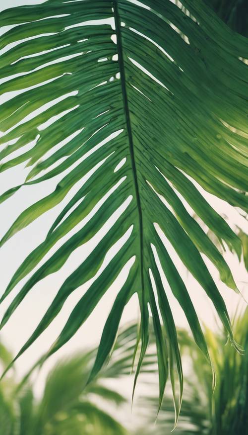 A vibrant green palm leaf waving gently in the morning breeze.