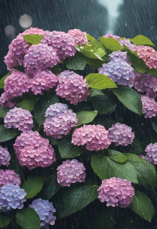 A beautiful painting of Japanese hydrangeas in full bloom during a rainy day.
