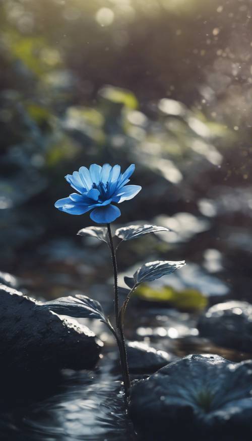 A lively black and blue flower growing beside a quiet stream.