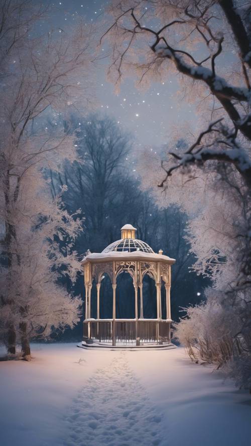 Un jardín inquietantemente hermoso cubierto por las primeras heladas del invierno bajo una noche repleta de estrellas, todo tranquilo y silencioso.