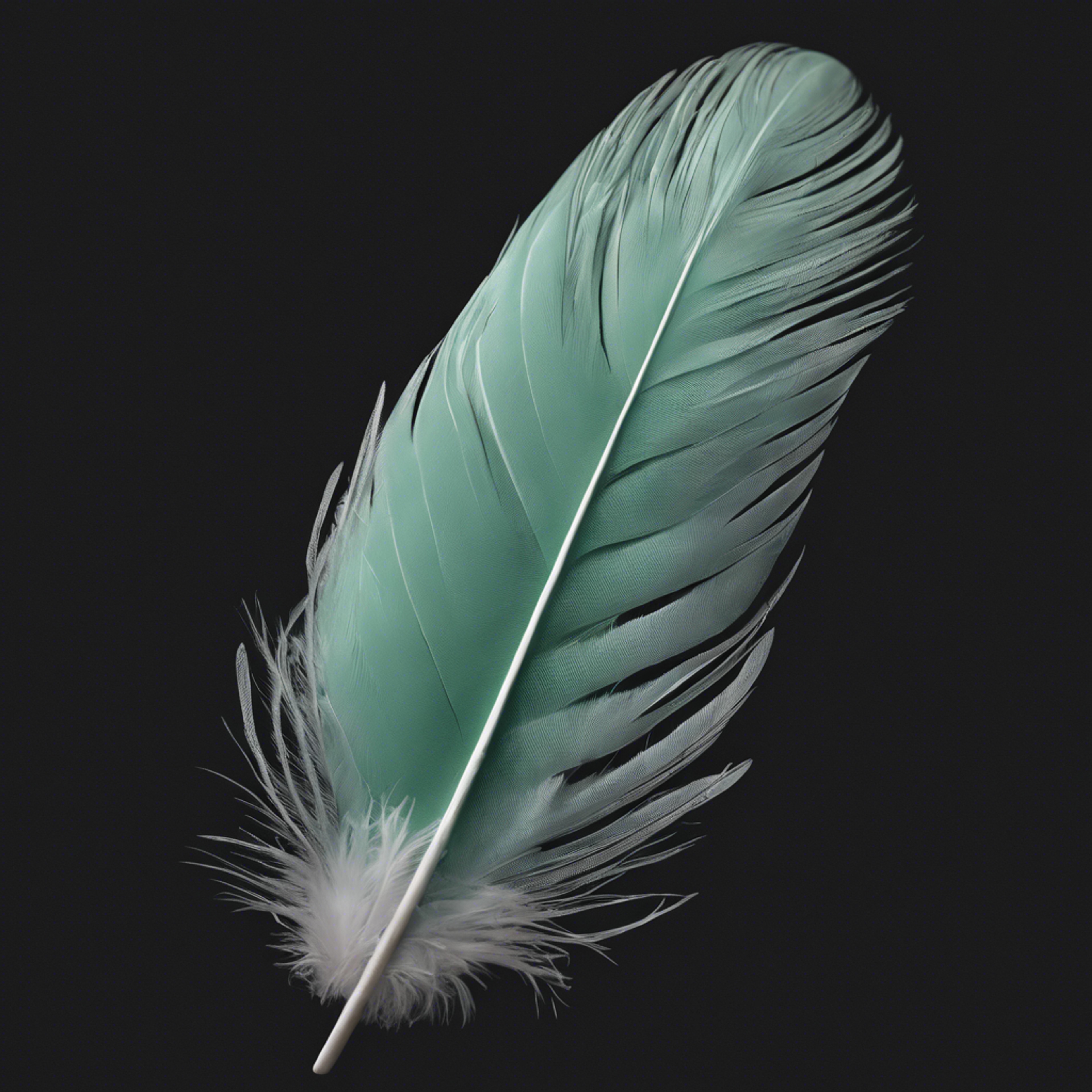 A mint green feather falling gently against a black background. Wallpaper[63059cc9c71342cdaeda]