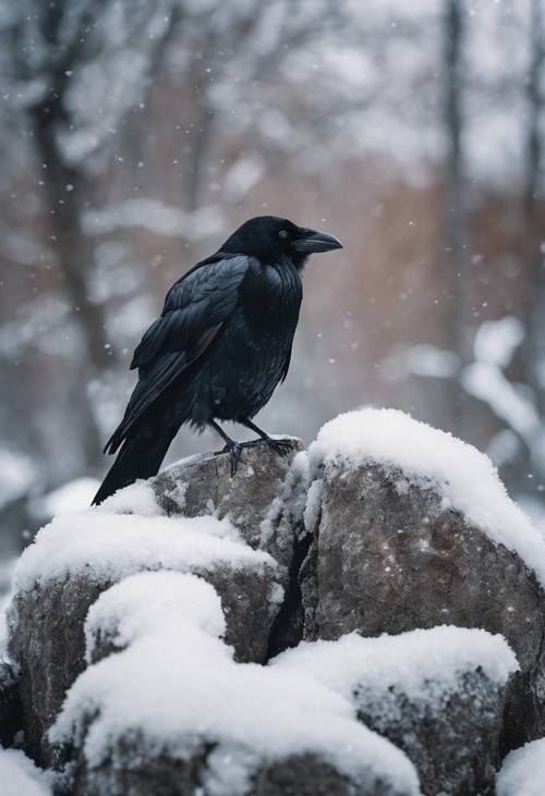 Eine schwarze Krähe thront auf einem grauen, kalten Stein in einer Winterlandschaft.