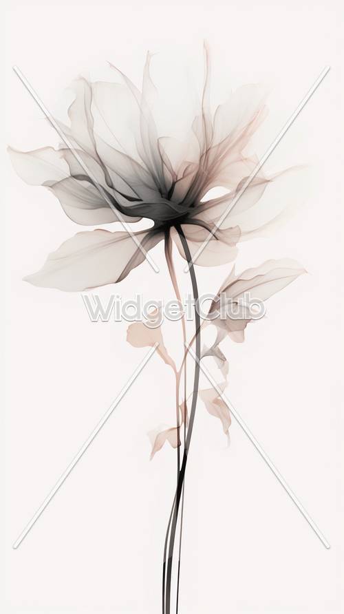 Black Flower Wallpaper [339b137dd5aa4245926e]