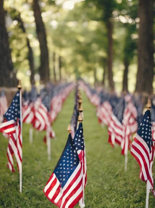 Una fila di bandiere americane lungo un percorso durante la cerimonia del Memorial Day.