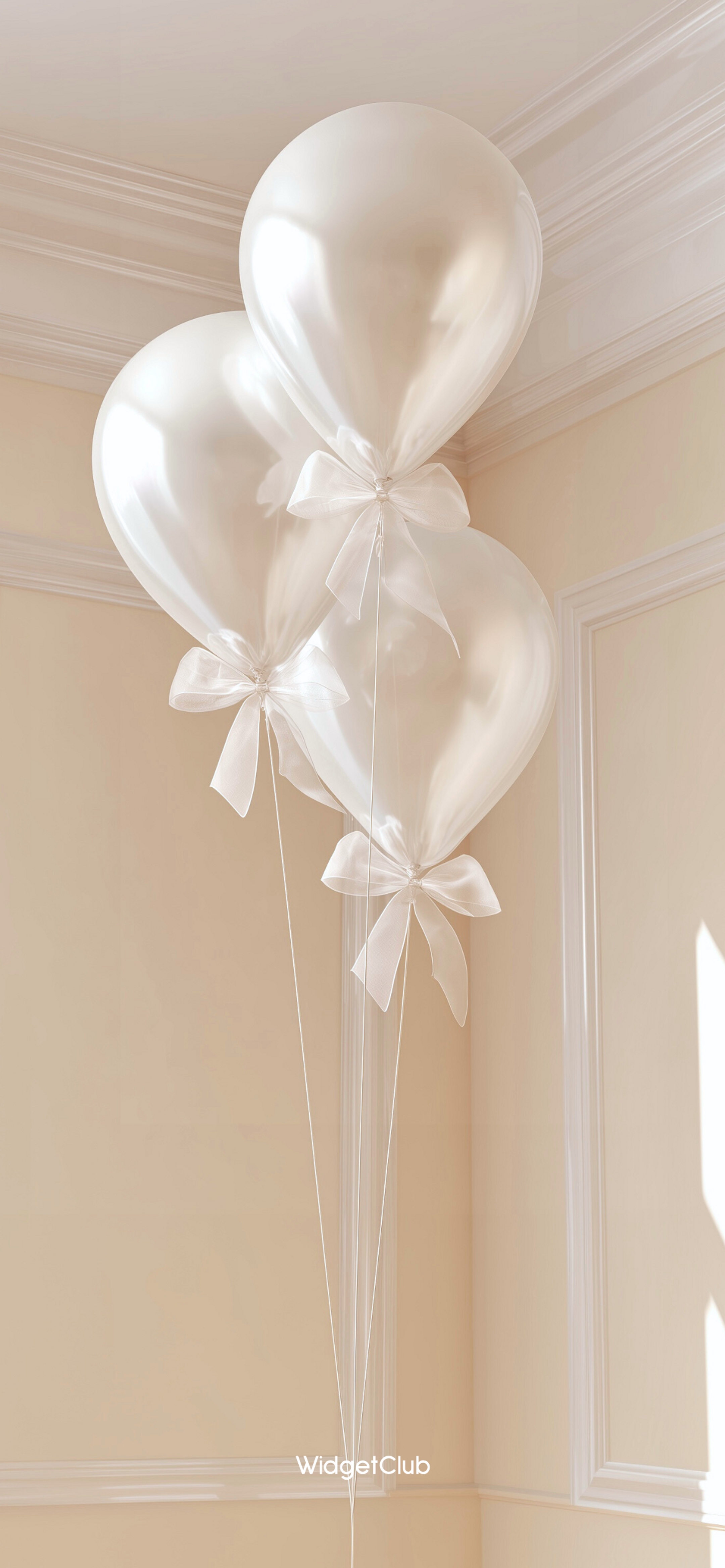 Balón Tapeta[9f4a504926944d30a212]
