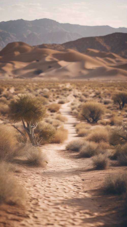 Un pittoresco sentiero nel deserto che porta in una distanza misteriosa.