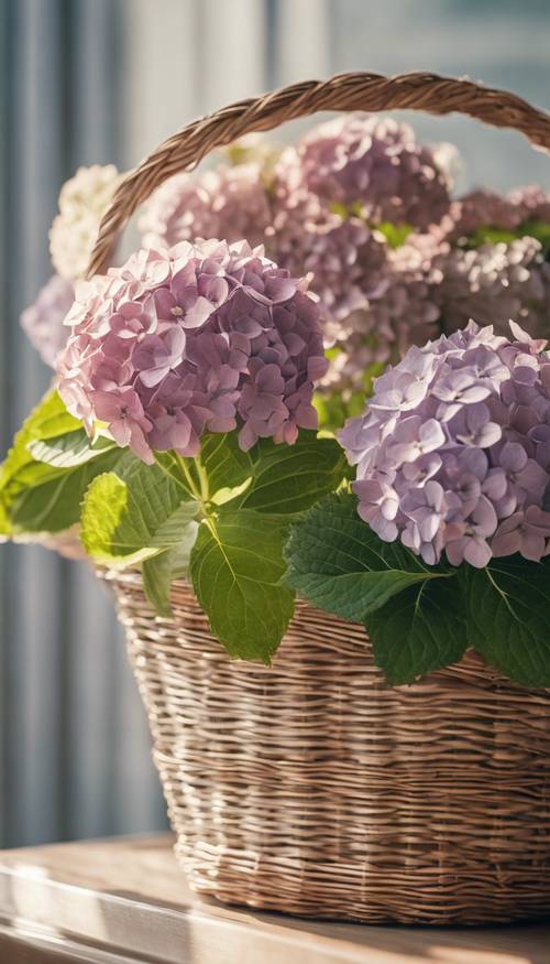 Винтажные гортензии цветут в традиционной плетеной корзине сияющим весенним утром.