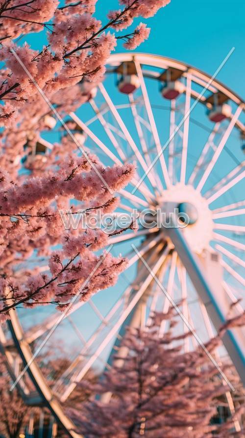 Flores de cerejeira e roda gigante em cores de primavera