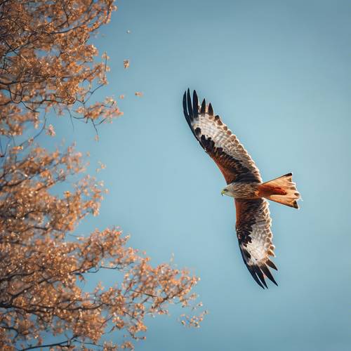 A red kite soaring high in a clear blue sky".