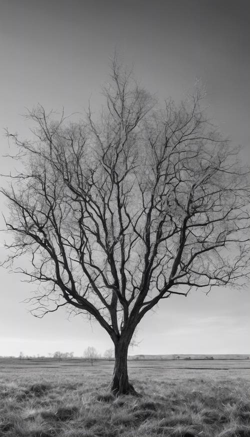 A stark black and white image of a bare tree standing in the middle of a deserted field.