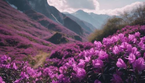 Azalea ungu tumbuh subur di lanskap pegunungan.