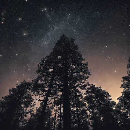 Силуэт мирного леса на фоне огромного звездного ночного неба.
