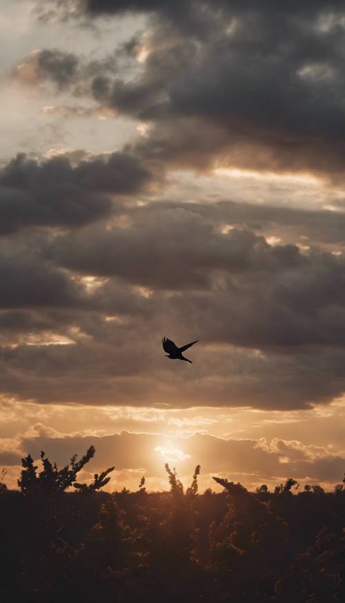 A silhouette of a lone bird flying towards the setting sun in a cloudy evening sky. Тапет [7b6a197e005b448ea6fd]