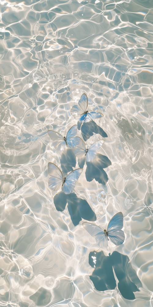 Farfalle che galleggiano sull&#39;acqua scintillante Sfondo [132fe11ba3104722bc2b]