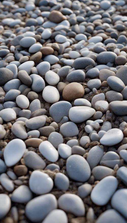 Un champ de galets gris clair, petits et lisses, disséminés sur une plage.