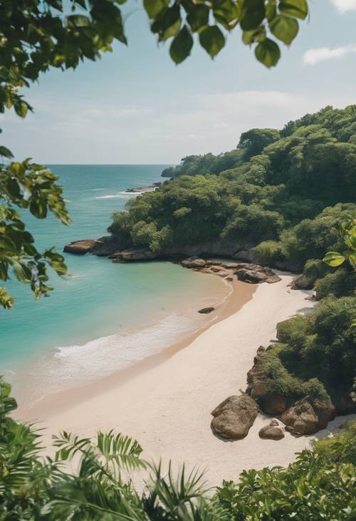 A peaceful view of a secluded beach, untouched and unspoiled, surrounded by lush greenery. Tapet [563ae164d54948c78681]
