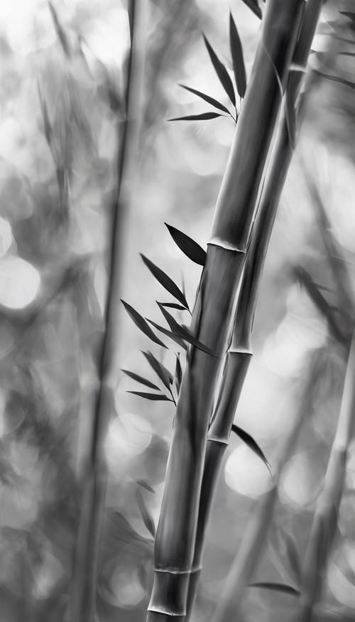 Szczegółowa ilustracja zbliżenia łodygi bambusa z liśćmi w skali szarości.