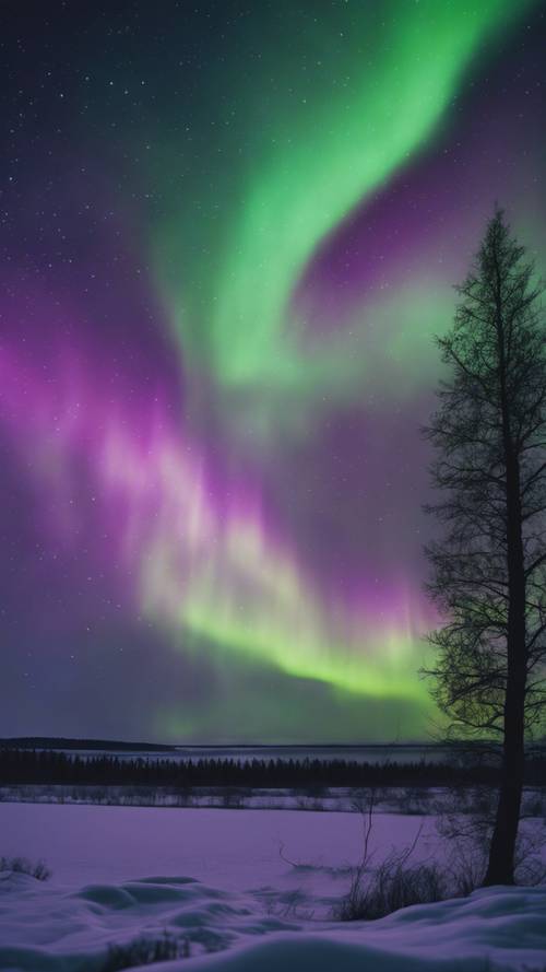 Zjawisko zorzy polarnej w odcieniach zieleni i fioletu tańczące na nocnym niebie.