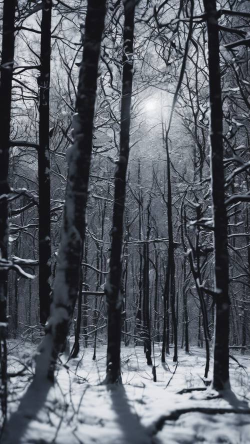 An image of a dense forest under the light of a full moon, casting black shadows on white snow.