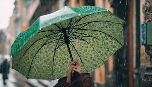 A lady's hand holding a vintage umbrella with a green paisley print in the rain.