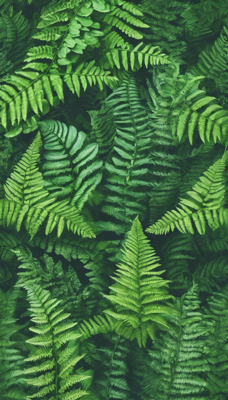 Aesthetically pleasing doodles of ferns and clovers in a harmony of green. วอลล์เปเปอร์[1c82e283c0d043109091]