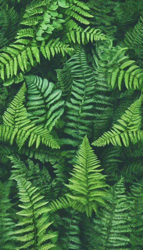 Những nét vẽ nguệch ngoạc đầy thẩm mỹ về dương xỉ và cỏ ba lá trong sự hài hòa của màu xanh lá cây.