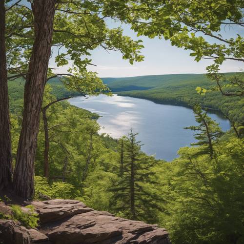 A bright summer day in the Porcupine Mountains Wilderness State Park with Lake Superior in the backdrop.