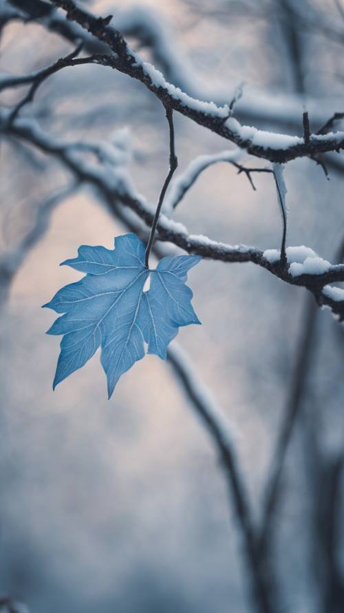 Uma folha azul emaranhada nos galhos de uma árvore estéril de inverno.