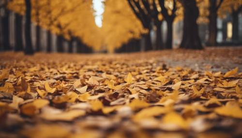 An outdoor fall scene with dark yellow leaves carpeting the ground.