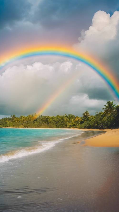 热带海滩降雨后，天空中出现了一道鲜艳的彩虹。