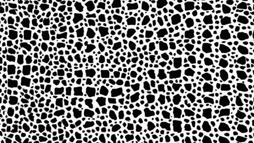 Un patrón geométrico abstracto en blanco y negro inspirado en un estampado de leopardo, con las manchas oscuras colocadas al azar y fusionándose sutilmente con el fondo negro.