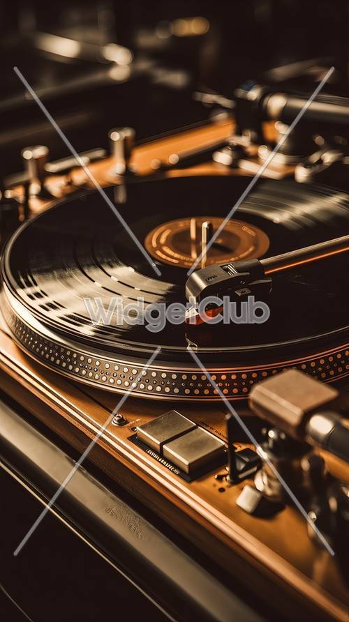 Vintage Vinyl Record Player in Action Tapeta [ea532db2497547fdb1ab]