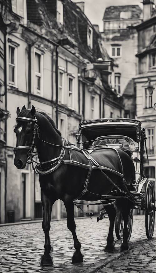 Старое монохромное изображение блестящей черной лошади со стеклянными глазами, тянущей старинную карету по мощеной улице.