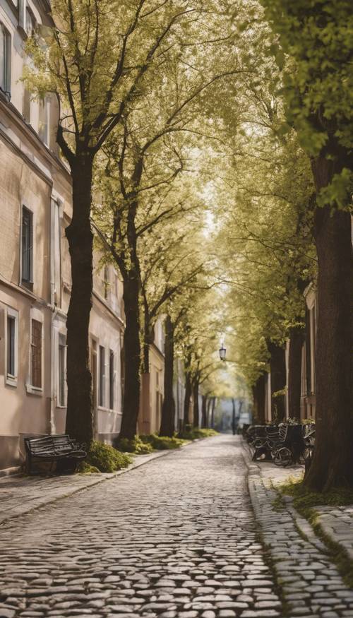 Charmosas ruas de paralelepípedos arborizadas de uma cidade europeia do século XIX durante a primavera.