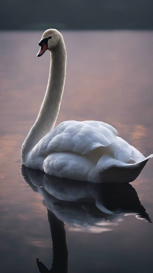 Un elegante cisne blanco contra un cielo nocturno negro como boca de lobo, reflejándose en un lago tranquilo.