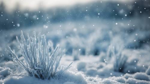 Una scena gelida di una pianura blu polvere congelata sotto il tocco dell&#39;inverno.
