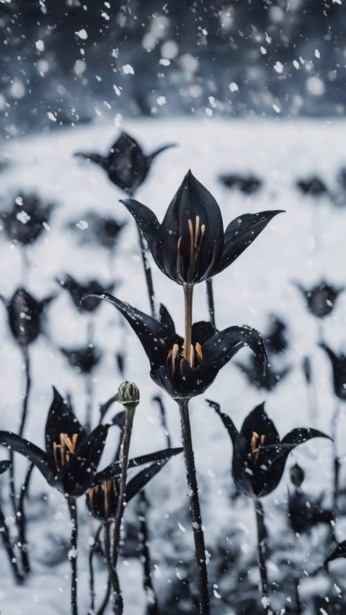 ลายดอกไม้ที่สลับซับซ้อนซึ่งมีดอกลิลลี่สีดำกระจายอยู่ทั่วผืนผ้าใบที่ปกคลุมไปด้วยหิมะ