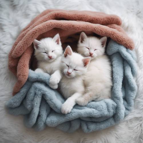 Four white kittens of varied breeds asleep in a fluffy pile of polar fleece blankets.