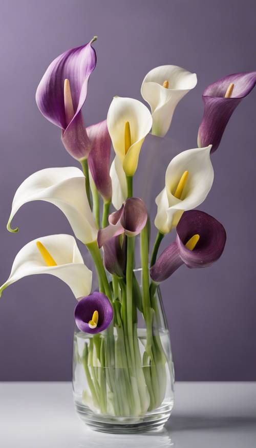 Một vài bông hoa loa kèn với nhiều màu sắc khác nhau - trắng, tím và vàng - được sắp xếp đẹp mắt trong một chiếc bình thủy tinh trong suốt.