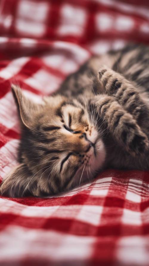 A cute kitten sleeping soundly on a red plaid blanket.