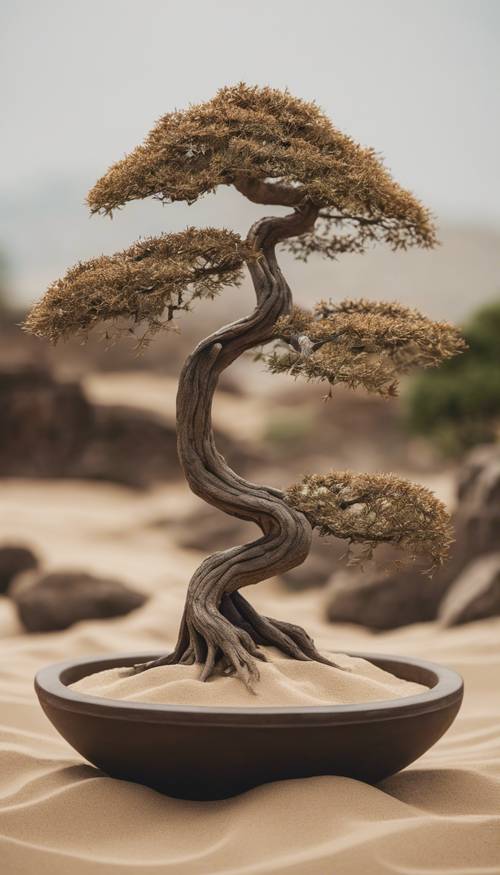 갓 긁어낸 선종 모래 정원에 우아하게 서 있는 오래된 꼬인 분재 나무.