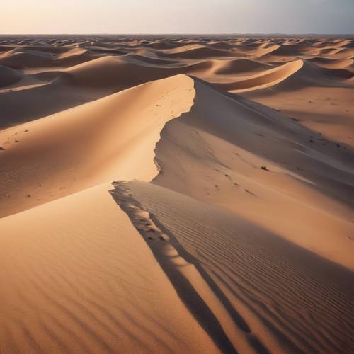 A harsh desert landscape at dawn with sand dunes stretching to the horizon.