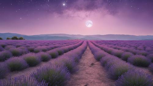 A full moon setting over a tranquil, silent lavender field.