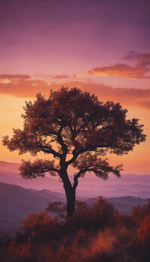A stunning sunset view from a mountain peak, the orange hues of the setting sun blending with the purples of the twilight. A single tree stands in silhouette against the backdrop.