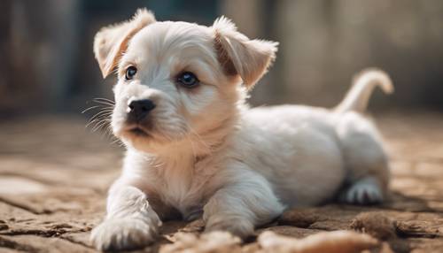 心形の模様のある小さな子犬がおやつを期待して上を見上げています