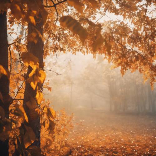 薄雾弥漫的早晨，朝阳映照在橙色和黄色的秋叶上。